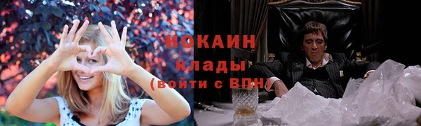 мяу мяу мука Гусь-Хрустальный