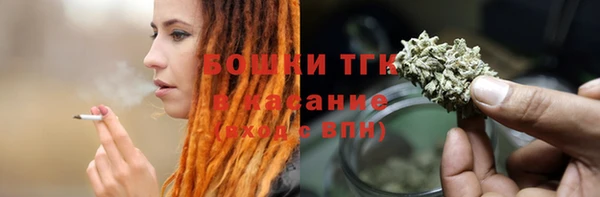 мяу мяу мука Гусь-Хрустальный