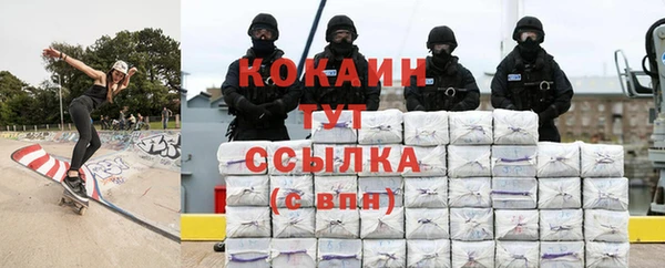 ALPHA PVP Гусев