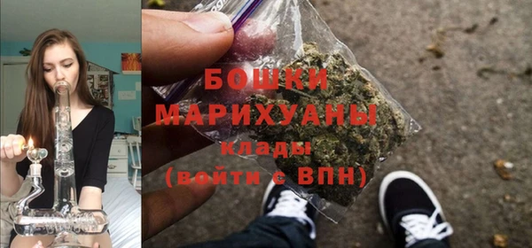 ALPHA PVP Гусев