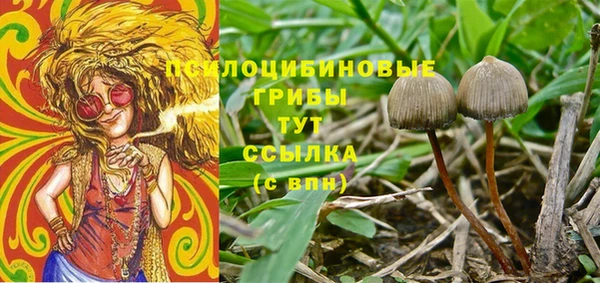 эйфоретик Гусиноозёрск