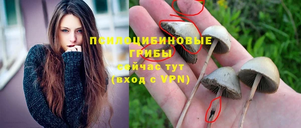 мяу мяу мука Гусь-Хрустальный